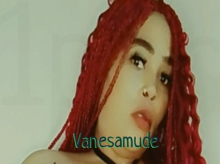 Vanesamude