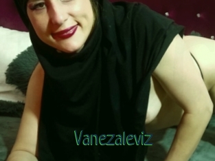 Vanezaleviz