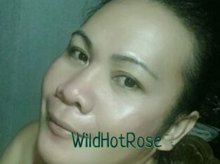 WildHotRose