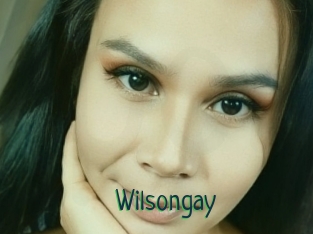 Wilsongay