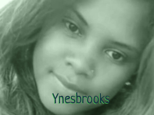 Ynesbrooks