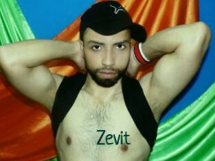 Zevit