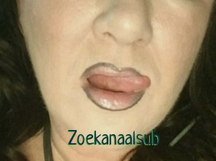 Zoekanaalsub